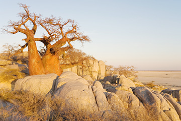 博茨瓦納杭濟三字代碼(GNZ),杭濟(Ghanzi)四字碼,博茨瓦納機場三字碼查詢