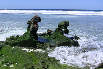 納威利威利港口查詢(xún)_nawiliwili港口代碼_美屬太平洋群島納威利威利港口代碼